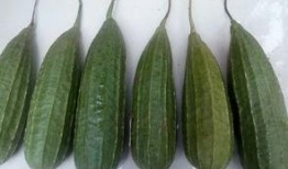 感謝老板吃瓜,我們一起來吃