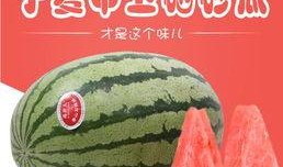 吃瓜山寨品,模仿潮流還是抄襲侵權？