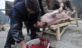 殺豬吃瓜,揭秘農村生活的酸甜苦辣