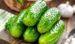 吃濕瓜好嗎,吃濕瓜的好處與注意事項