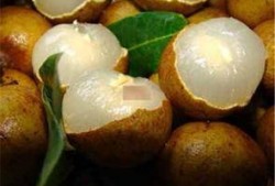 早孕敢吃蒲瓜嗎,蒲瓜食用指南