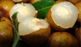 早孕敢吃蒲瓜嗎,蒲瓜食用指南