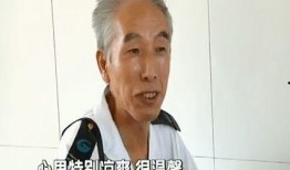 吃瓜摸胡子,揭秘娛樂圈的幕后故事