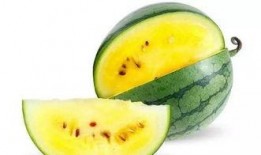 評課瓜瓜吃瓜,一場別開生面的教育盛宴