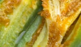 羊角蜜吃瓜視頻,揭秘網紅美食背后的甜蜜誘惑