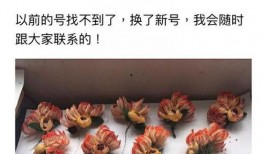 黑粉吃瓜總站,黑粉吃瓜總站獨家爆料，明星幕后真相大曝光！