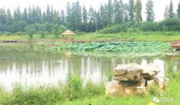 眉山濕地公園吃瓜,夏日消暑吃瓜好去處