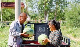 阿勒泰吃瓜視頻最新