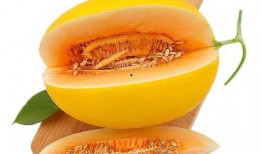 吃蜜瓜嘴出血,吃瓜嘴出血的尷尬體驗