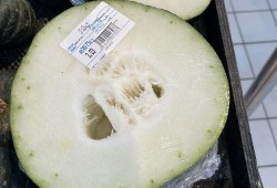 成都直播吃瓜,一場美食與娛樂的盛宴