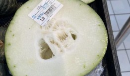 成都直播吃瓜,一場美食與娛樂的盛宴