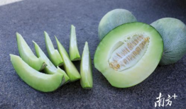 吃瓜里的瓜本身叫什么,揭秘“吃瓜群眾”背后的神秘果實