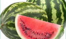 痛風(fēng)可以吃翠玉瓜嗎,翠玉瓜助力健康飲食