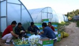 沂南吃瓜群眾,揭秘當?shù)鬲毺仫嬍澄幕?></a></li>
			  				<li><a href=