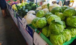 擺攤免費吃瓜,擺攤文化新潮流