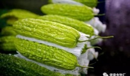 吃瓜35,一場關于美食與生活的深度對話