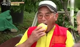 韓綜舞臺吃瓜,吃瓜群眾揭秘明星幕后故事