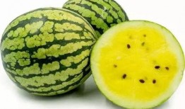 吃瓜的娟,揭秘娛樂圈幕后故事