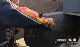 國(guó)乒搞笑吃瓜,笑料百出！