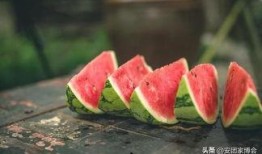 到了吃瓜的季節,暢享清涼吃瓜季