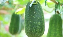 熱總吃瓜,揭秘娛樂(lè)圈幕后風(fēng)云