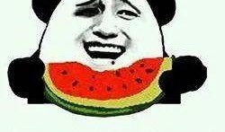 豬吃臥瓜,探尋豬與臥瓜的奇妙緣分