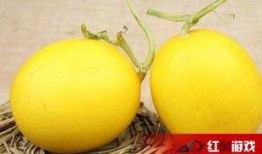 吃瓜喉嚨難受,如何緩解與預防