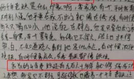 吃瓜議論文作文,網絡議論文中的社會現象解析