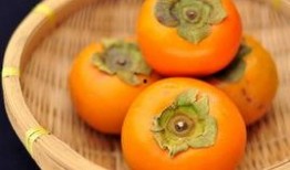 胖子吃瓜瘦子吃瓜,胖子瘦子同享吃瓜樂(lè)趣