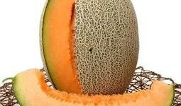 皇族吃瓜,宮廷秘聞里的吃瓜眾生相