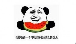 為什么熱鬧吃瓜,探究社會(huì)輿論的狂歡與反思