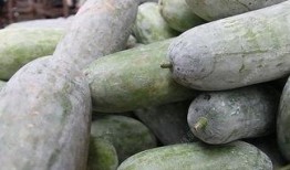 生凍瓜怎么吃,生凍瓜的多樣食用方法與美味探索