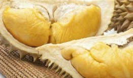 早孕敢吃蒲瓜嗎,蒲瓜食用指南