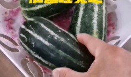 瓜吃瓜睡,吃瓜、睡覺，享受悠閑時光