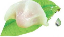 揉碎吃的瓜,探索揉碎食用的獨特美味體驗