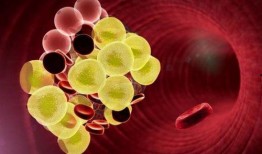 腦梗塞吃瓜尖,天然食療新選擇