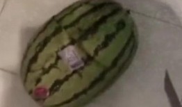 吃瓜要洗手,洗手保健康——揭秘吃瓜衛生小常識