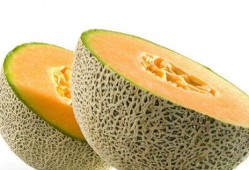 瓊海16度吃瓜,夏日炎炎吃瓜時光