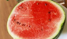 瓜瓜吃瓜全文,揭秘娛樂圈幕后真相