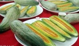 酥瓜怎么吃的,解鎖夏日清新美味