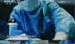 法醫吃瓜事件,揭秘法庭背后的驚人真相