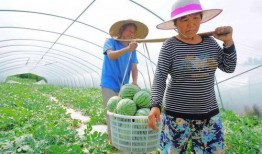 老人吃瓜群眾圖