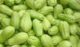 吃瓜臉癢,背后的原因與應(yīng)對策略