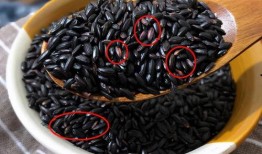 黑料不打料入口,探尋網(wǎng)絡(luò)世界的真實(shí)與虛假