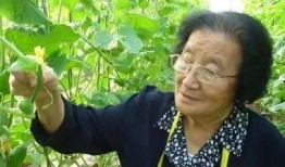 吃瓜人管家娘子全文手打,宮廷秘聞與愛情糾葛