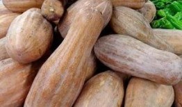 方瓜吃不曬干收藏,傳統技藝與現代生活的完美融合