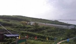 盤山吃瓜群眾事件,一場網絡輿論的風暴與反思