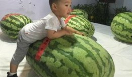 天津吃瓜人事件