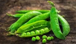 豆吃瓜,揭秘豆類與瓜類食材的奇妙搭配與營(yíng)養(yǎng)奧秘