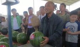 內(nèi)黃吃瓜群,揭秘鄉(xiāng)村生活趣味與智慧